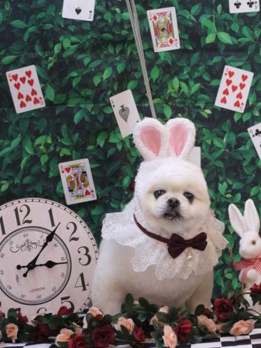 20250403ララちゃん